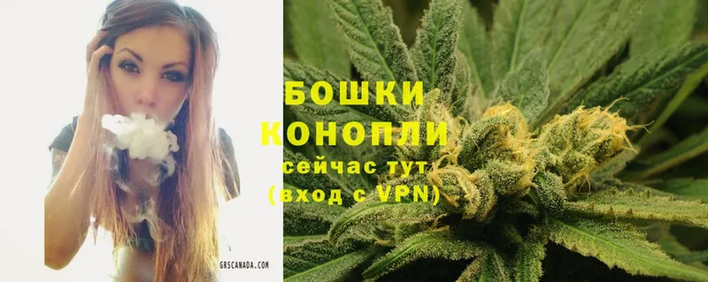 Бошки марихуана THC 21%  Туран 